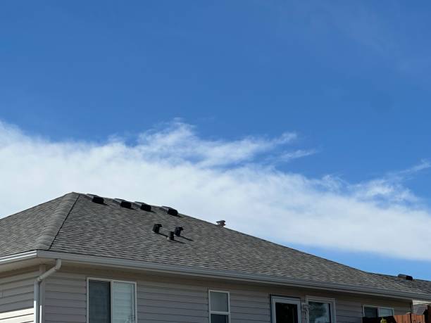 Steel Roofing in Chuluota, FL